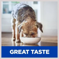 Hill's Prescription Diet z/d Skin/Food Sensitivities Small Bites Original Flavor Dry Dog Food 15 Hill's Prescription Diet z/d Skin/Food Sensitivities Small Bites Original Flavor Dry Dog Food -Outlet Sullivan Supply Store 106407 PT4. SY630 V1602309076