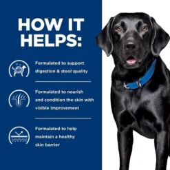 Hill's Prescription Diet d/d Skin/Food Sensitivities Potato & Salmon Recipe Dry Dog Food -Outlet Sullivan Supply Store 113450 PT4. SY630 V1646168536