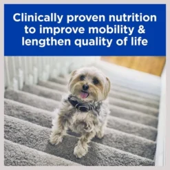 Hill's Prescription Diet k/d + Mobility Kidney Care + Mobility with Chicken Dry Dog Food -Outlet Sullivan Supply Store 122121 PT4. SY630 V1598916096
