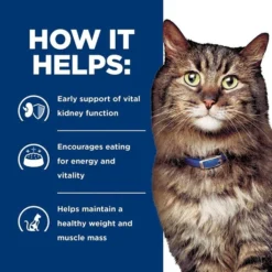 Hill's Prescription Diet k/d Kidney Care Early Support with Chicken Dry Cat Food 15 Hill's Prescription Diet k/d Kidney Care Early Support with Chicken Dry Cat Food -Outlet Sullivan Supply Store 148479 PT4. SY630 V1648280186
