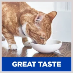 Hill's Prescription Diet Gastrointestinal Biome with Chicken Dry Cat Food -Outlet Sullivan Supply Store 159277 PT3. SY630 V1606815123