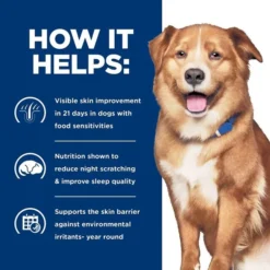 Hill's Prescription Diet Derm Complete Original Flavor Wet Dog Food -Outlet Sullivan Supply Store 269080 PT4. SY630 V1650998188