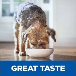 Hill's Prescription Diet||Hill's Prescription Diet Hill's Prescription Diet i/d Digestive Care with Turkey Canned Dog Food, 13-oz & Hill's Prescription Diet i/d Digestive Care Chicken Flavor Dry Dog Food -Outlet Sullivan Supply Store 276960 PT3. SY630 V1644968889