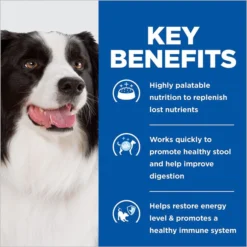 Hill's Prescription Diet i/d Digestive Care with Turkey Wet Dog Food 13 Hill's Prescription Diet i/d Digestive Care with Turkey Wet Dog Food -Outlet Sullivan Supply Store 295032 PT4. SY630 V1621624061