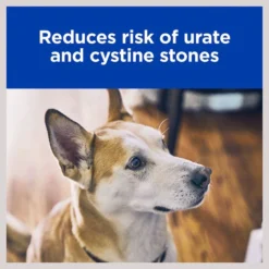 Hill's Prescription Diet u/d Urinary Care Chicken Flavor Wet Dog Food -Outlet Sullivan Supply Store 295142 PT3. SY630 V1621624060