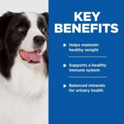 Hill's Prescription Diet w/d Multi-Benefit with Chicken Wet Dog Food -Outlet Sullivan Supply Store 295143 PT3. SY630 V1658226574