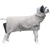 Sullivan Supply Canvas Goat Blanket -Outlet Sullivan Supply Store 322457 MAIN. SY630 V1630536695