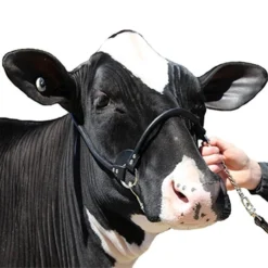 Sullivan Supply Streamline Leather Rolled Nose Show Farm Animal Halter -Outlet Sullivan Supply Store 322467 PT2. SY630 V1630536102