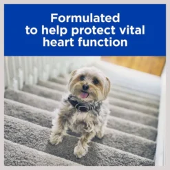 Hill's Prescription Diet h/d Heart Care Chicken Flavor Dry Dog Food -Outlet Sullivan Supply Store 69760 PT5. SY630 V1602335461
