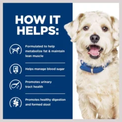 Hill's Prescription Diet w/d Multi-Benefit Chicken Flavor Dry Dog Food -Outlet Sullivan Supply Store 69799 PT4. SY630 V1657661020