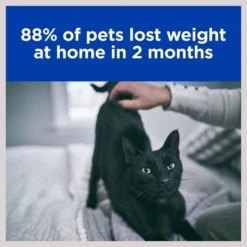 Hill's Prescription Diet Metabolic Chicken Flavor Dry Cat Food -Outlet Sullivan Supply Store 69811 PT5. SY630 V1602316560