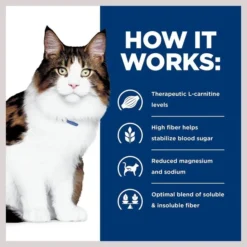 Hill's Prescription Diet w/d Multi-Benefit with Chicken Dry Cat Food -Outlet Sullivan Supply Store 69824 PT5. SY630 V1651672583