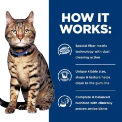 Hill's Prescription Diet t/d Dental Care Chicken Flavor Dry Cat Food -Outlet Sullivan Supply Store 69827 PT5. SY630 V1648273286
