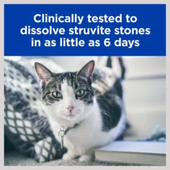 Hill's Prescription Diet s/d Urinary Care Chicken Flavor Dry Cat Food -Outlet Sullivan Supply Store 69830 PT4. SY630 V1599174956