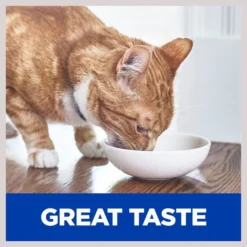 Hill's Prescription Diet i/d Digestive Care with Chicken Wet Cat Food -Outlet Sullivan Supply Store 69849 PT4. SY630 V1602627968