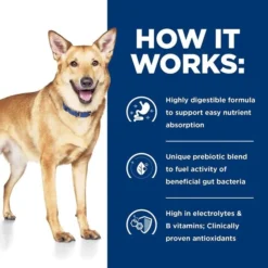 Hill's Prescription Diet i/d Digestive Care Chicken Flavor Dry Dog Food 16 Hill's Prescription Diet i/d Digestive Care Chicken Flavor Dry Dog Food -Outlet Sullivan Supply Store 89368 PT5. SY630 V1647292952