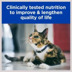 Hill's Prescription Diet k/d Kidney Care with Ocean Fish Dry Cat Food -Outlet Sullivan Supply Store 92893 PT5. SY630 V1602291663