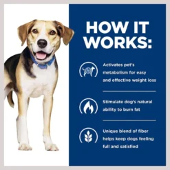 Hill's Prescription Diet Metabolic Lamb Meal & Rice Dry Dog Food 16 Hill's Prescription Diet Metabolic Lamb Meal & Rice Dry Dog Food -Outlet Sullivan Supply Store 92898 PT5. SY630 V1651673187