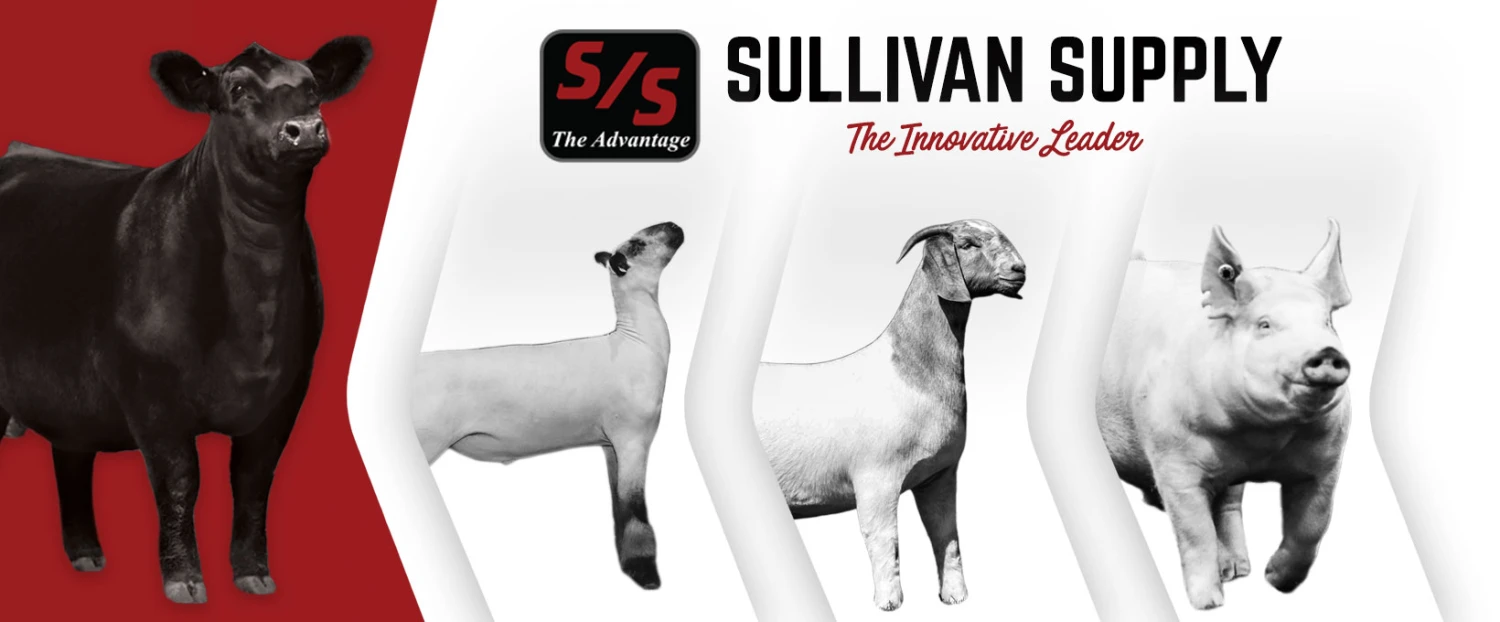 Outlet Sullivan Supply Store -Outlet Sullivan Supply Store q77