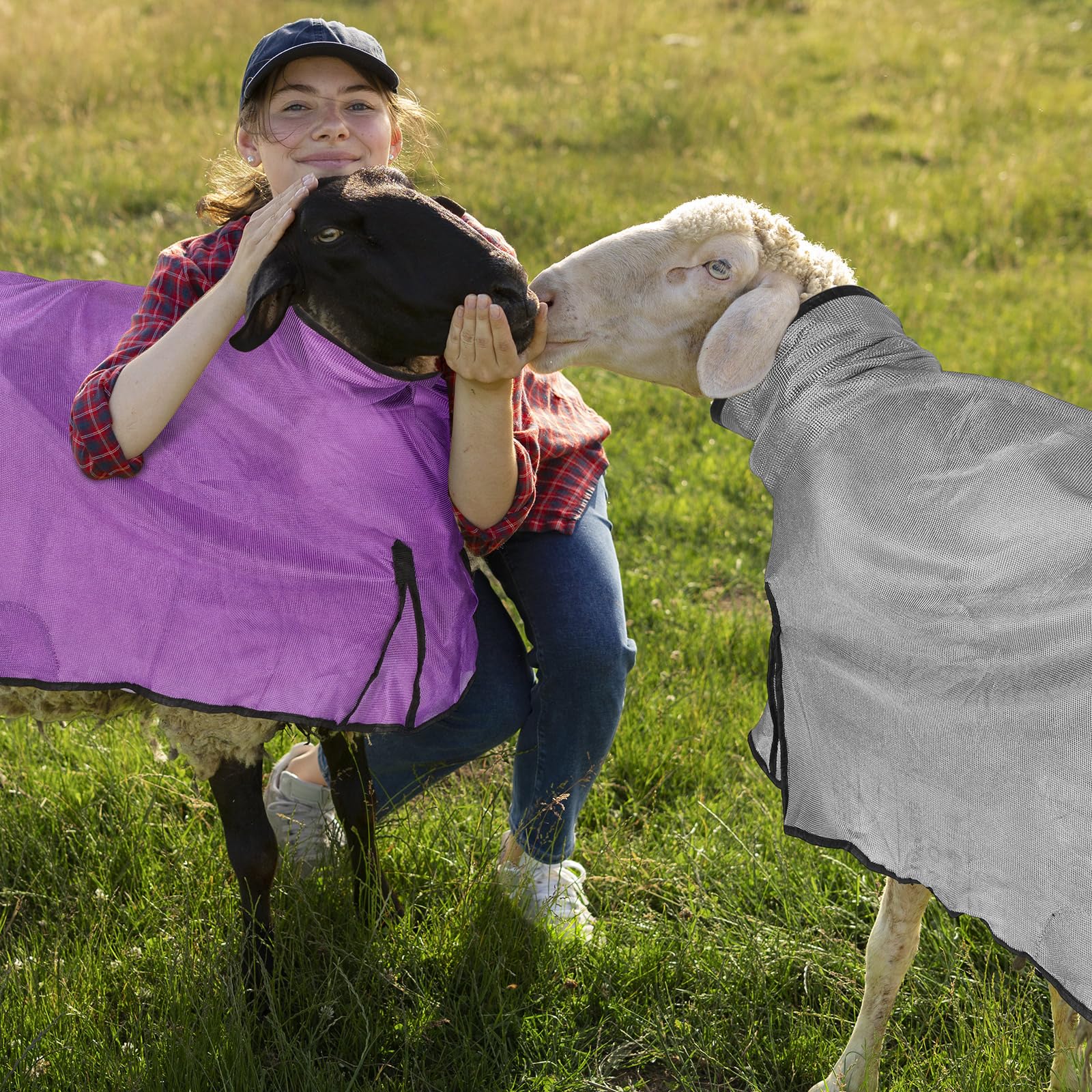 Outlet Sullivan Supply Store -Outlet Sullivan Supply Store 912Da9YTRaL